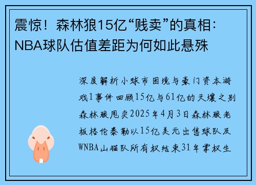 震惊！森林狼15亿“贱卖”的真相：NBA球队估值差距为何如此悬殊