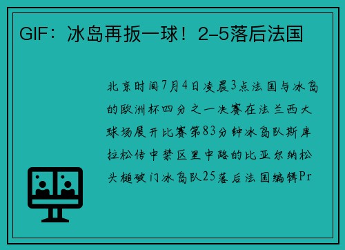 GIF：冰岛再扳一球！2-5落后法国