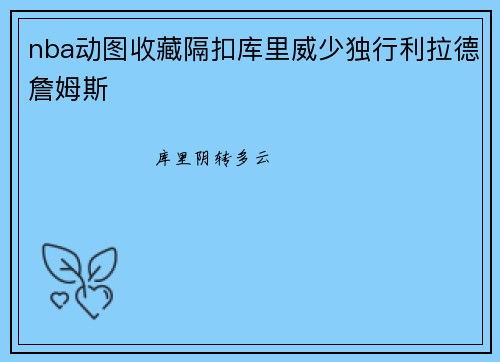 nba动图收藏隔扣库里威少独行利拉德詹姆斯